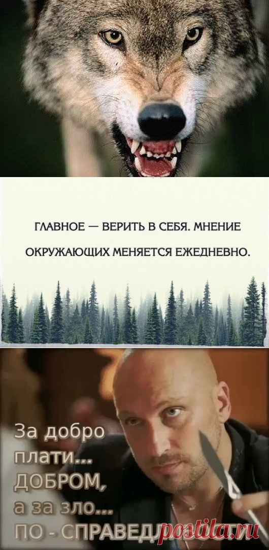 Одноклассники