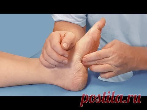 Роль и значение отдельных мышц стопы и голени при коррекции сколиоза. Анатомия и биомеханика - YouTube