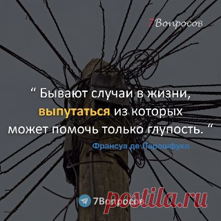 7Вопросов “ Бывают случаи в жизни, выпутаться из которых может помочь только глупость. “ © Франсуа де Ларошфуко
