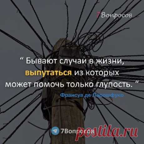 7Вопросов “ Бывают случаи в жизни, выпутаться из которых может помочь только глупость. “ © Франсуа де Ларошфуко