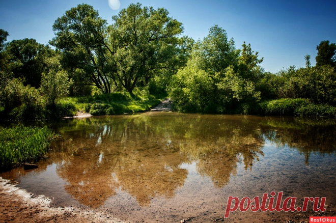Фото: река Ведуга. Фотограф Владимир Певунов. Пейзаж - Фотосайт Расфокус.ру
