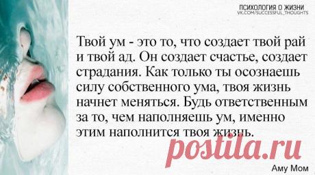 Чем мы наполняем свой ум, тем и наполнится наша жизнь