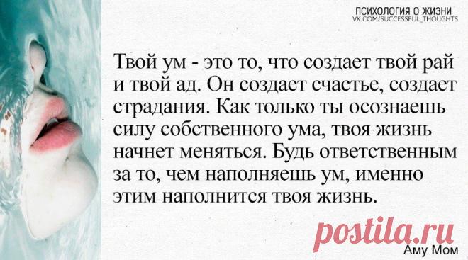 Чем мы наполняем свой ум, тем и наполнится наша жизнь