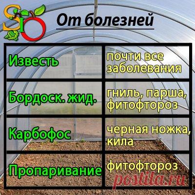 Обработка теплицы осенью от вредителей и болезней: чем и как обеззаразить теплицу.