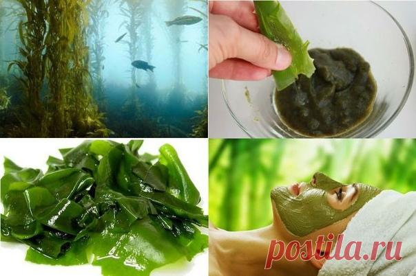 ЧЕРЕЗ ДВЕ-ТРИ НЕДЕЛИ ВЫ БУДЕТЕ МОЛОЖЕ НА ДВА-ТРИ ГОДА.

А еще через две-три недели - на четыре-шесть лет!

Очень простой и доступный рецепт.

Покупаем в аптеке сушеные водоросли - ламинарию.

* Насыпаем в чашку 2-3 ч. ложки, заливаем 4-5 ч. ложками кипятка, размешиваем до однородной массы, накрываем блюдцем и оставляем запариватся на 5-10 минут.

* Главное - не налить много воды, иначе потом тяжело будет наносить на лицо - смесь будет стекать.

* Добавляем несколько капель...
