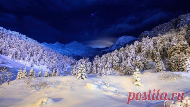 Святое Рождество! / Новости на востоке