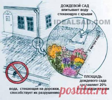 Дождевая вода на даче: сбор, отвод и использование