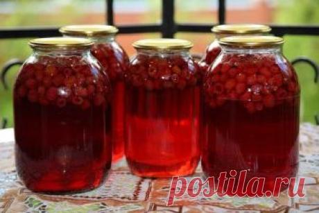 Компот из малины на зиму: 3 рецепта заготовки на зиму, которые не подведут Рецепты заготовки малинового компота на зиму со стерилизацией и без нее. Как лучше закатывать компот из малины в двух- и трехлитровых банках впрок.