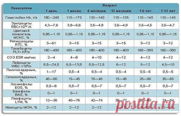 АНАЛИЗ КРОВИ