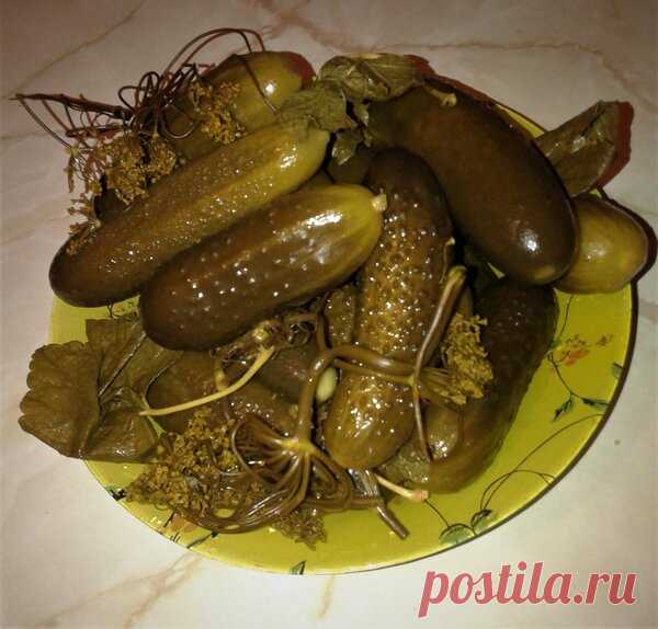 Самые вкусные солёные огурцы | Цветочная душа | Яндекс Дзен