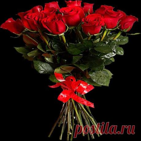 0ubuneecsou4b1famd577ae72ms75mdl.jpg (500×500)