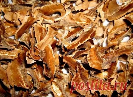 Грецкие орехи при миоме матки