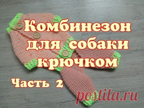 Комбинезон для собаки крючком, часть 2, DIY suit for dogs & cats