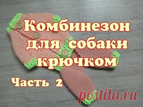 Комбинезон для собаки крючком, часть 2, DIY suit for dogs & cats