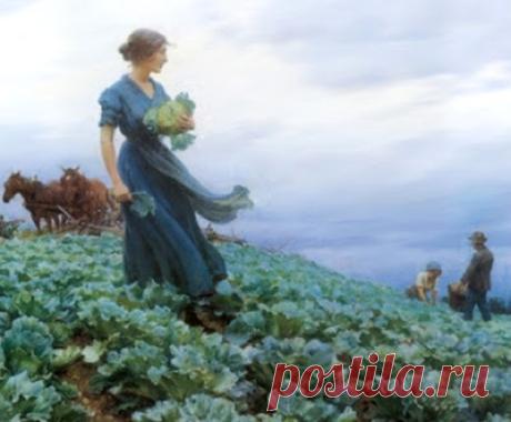 PINTORES Y PINTURAS - JUAN CARLOS BOVERI: CHARLES CURRAN