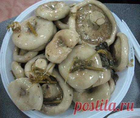 (39) Одноклассники