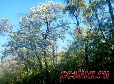 Какое путешествие обходится без фотографий?