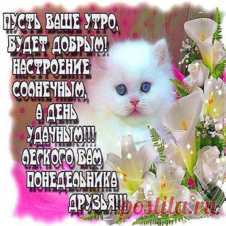 Гифки картинки доброе Утро с приятными надписями  Открытки солнечного Утра