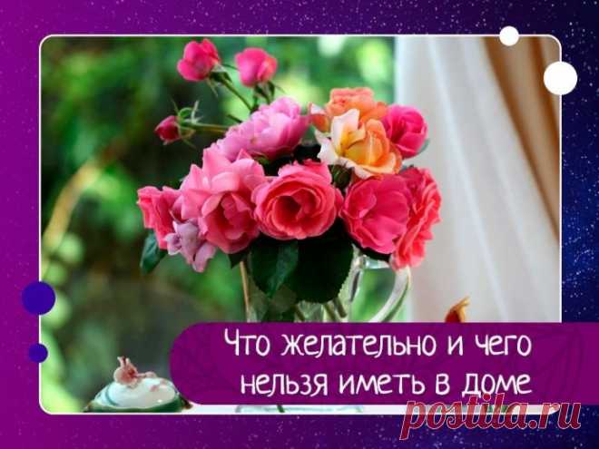 Что желательно и чего нельзя иметь в доме