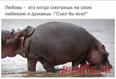 У папуаса спрашивают: - Как вы кокосы с пальм собираете? - А мы их и не собираем. Когда дует ветер, они сами падают. - А когда ветра нет? - Ну... тогда неурожай. - Выпуск №2034 — Вокруг смеха - анекдоты