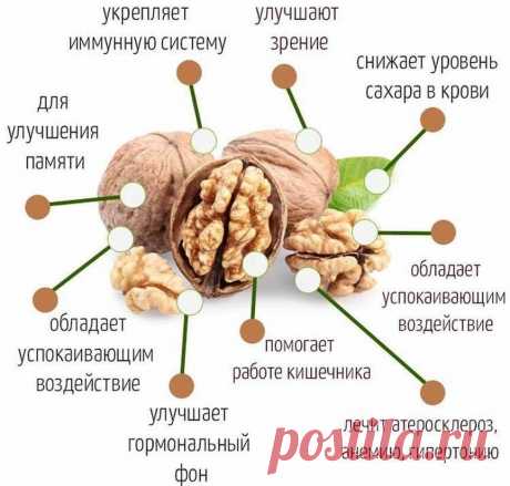Польза грецких орехов