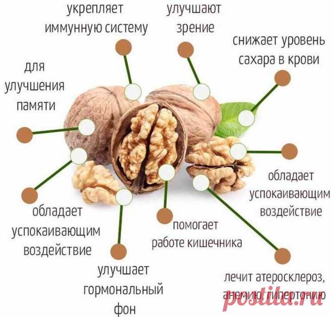 Польза грецких орехов