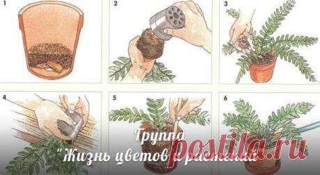 Мои закладки