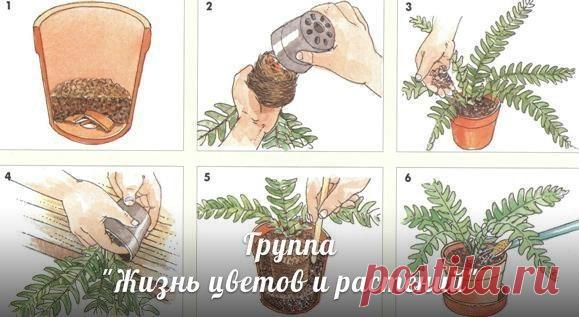 Мои закладки