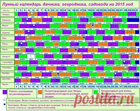 Календарь работ на даче, саду, огороде с учетом фаз Луны