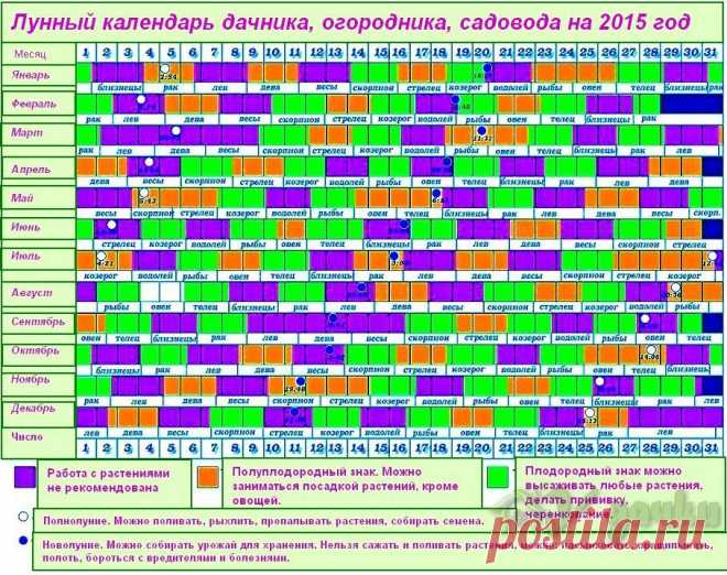 Календарь работ на даче, саду, огороде с учетом фаз Луны