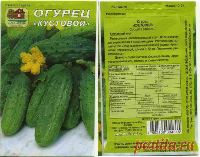 Конец огуречным джунглям - Садоводка