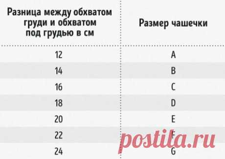 Как определить размер бюстгальтера и чашечки: удобная и понятная таблица