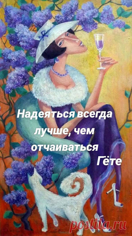 Изображение пина-истории