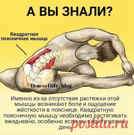 Очень полезное упражнение!