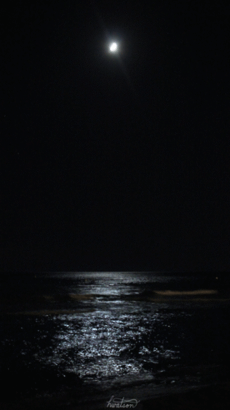 mrminty — Goodnight…..море целуется с луною