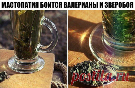 (1) Одноклассники