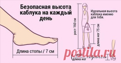 Правила грамотного подбора туфель на каблуке: формула Для большинства женщин туфли с эффектным каблучком – предмет великого обожания.

Не все леди знают о способах правильного выбора стильной и в то же время комфортной обувки. Идеально подобранные туфли обеспечат ощущение удобства, и истинного наслаждения. Вы готовы узнать секреты правильного подбора