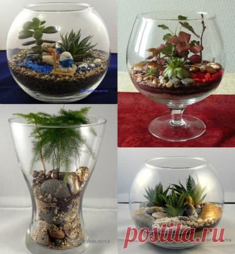 🦋Приглашаем в группу vk.com/florarium.neva 🌸Закажите флорариум к выбранному событию, удивите подарком или внесите оригинальный штрих в интерьер 🦋15.12. мы устраиваем розыгрыш двух новогодних флорариумов для участников группы