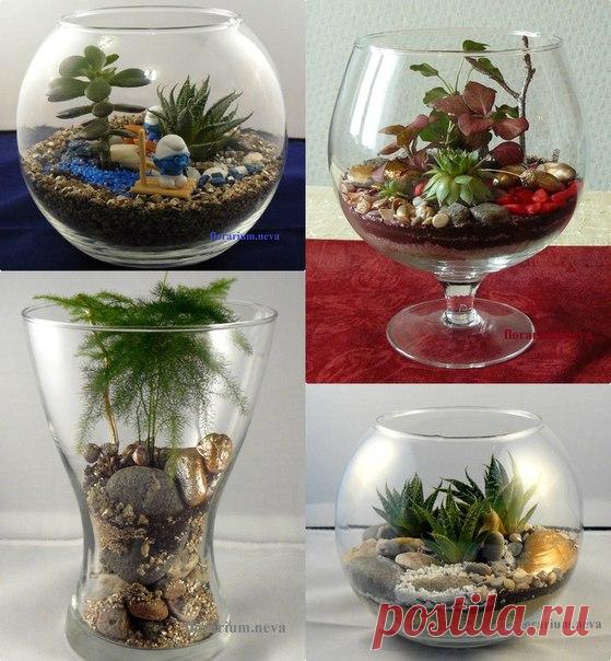 🦋Приглашаем в группу vk.com/florarium.neva 🌸Закажите флорариум к выбранному событию, удивите подарком или внесите оригинальный штрих в интерьер 🦋15.12. мы устраиваем розыгрыш двух новогодних флорариумов для участников группы