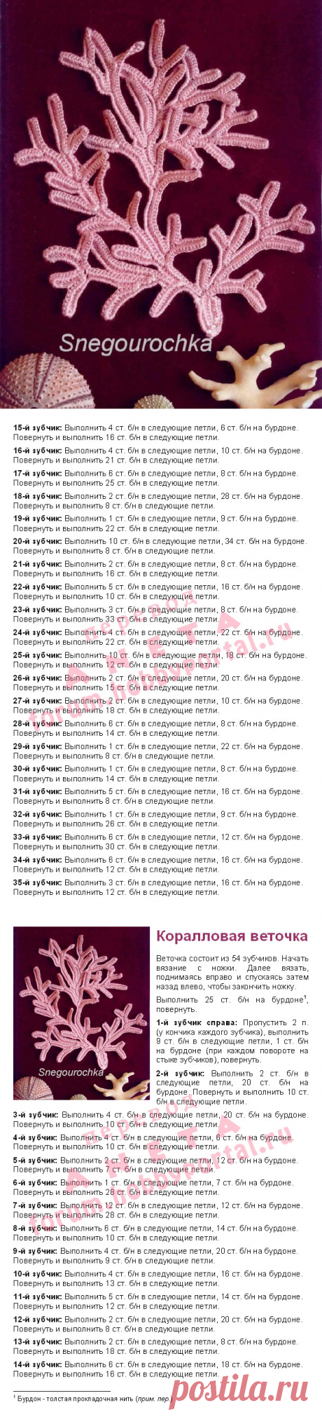 коралловая ветвь