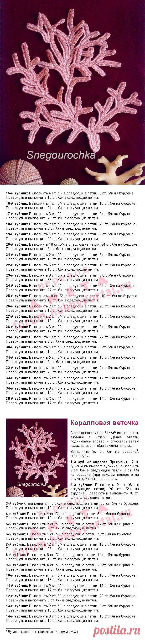 коралловая ветвь