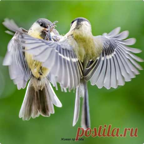 Мой Мир@Mail.Ru