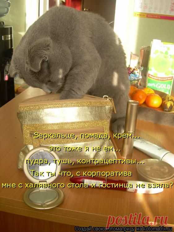 Котоматрица: Круть