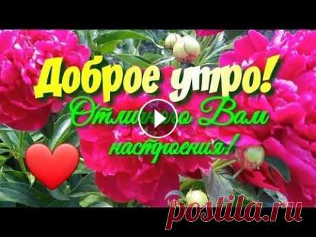 Доброе утро!  Красивая ПЕСНЯ! Музыкальная открытка С Добрым утром!Отличного вам настроения Доброе утро! Красивая музыкальная открытка С Добрым утром ! Радуйтесь теплым лучикам солнца и дарите всем свои улыбки! Свежим ароматом пахнет утро! Хо...