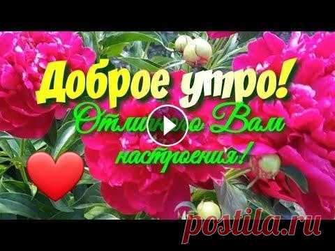 Доброе утро!  Красивая ПЕСНЯ! Музыкальная открытка С Добрым утром!Отличного вам настроения Доброе утро! Красивая музыкальная открытка С Добрым утром ! Радуйтесь теплым лучикам солнца и дарите всем свои улыбки! Свежим ароматом пахнет утро! Хо...