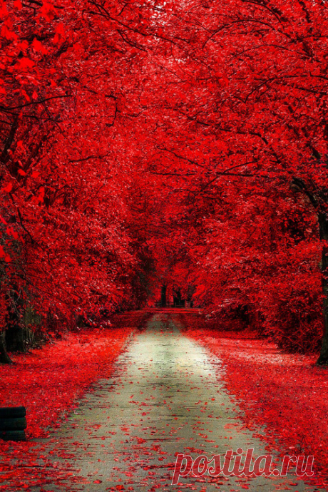 Autumn Photo: autumn     Photo of autumn     for fans of Autumn.