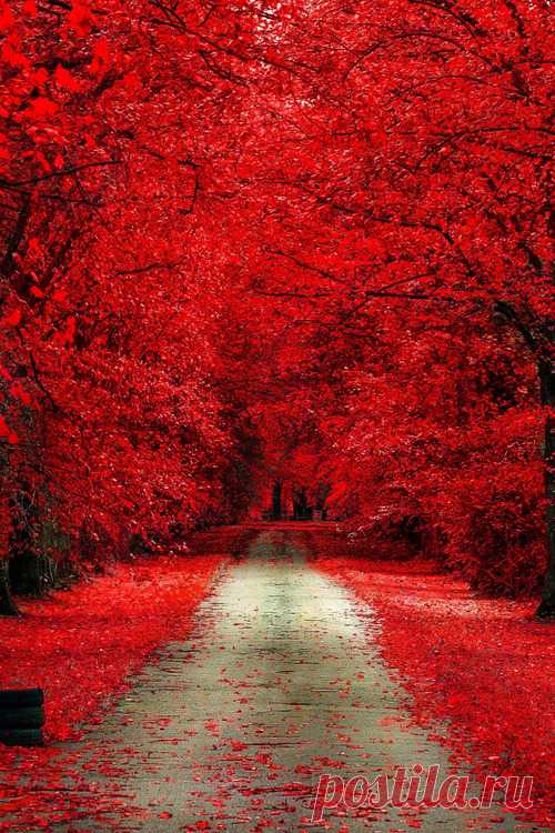 Autumn Photo: autumn     Photo of autumn     for fans of Autumn.