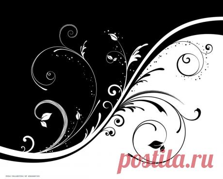 черное и белое картинки - Поиск в Google