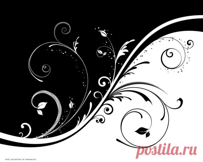 черное и белое картинки - Поиск в Google