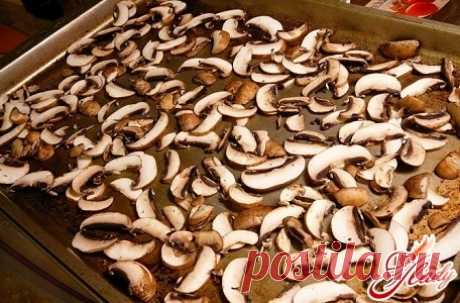 Сушка грибов в домашних условиях: чтобы грибы получились вкусные и ароматные